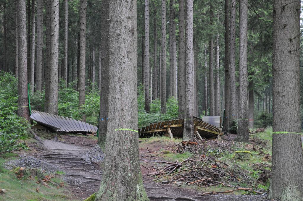 Hotel Sonnenberg Schloesschen Braunlage Exteriér fotografie