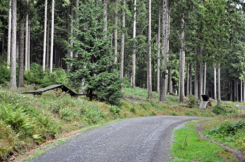 Hotel Sonnenberg Schloesschen Braunlage Exteriér fotografie